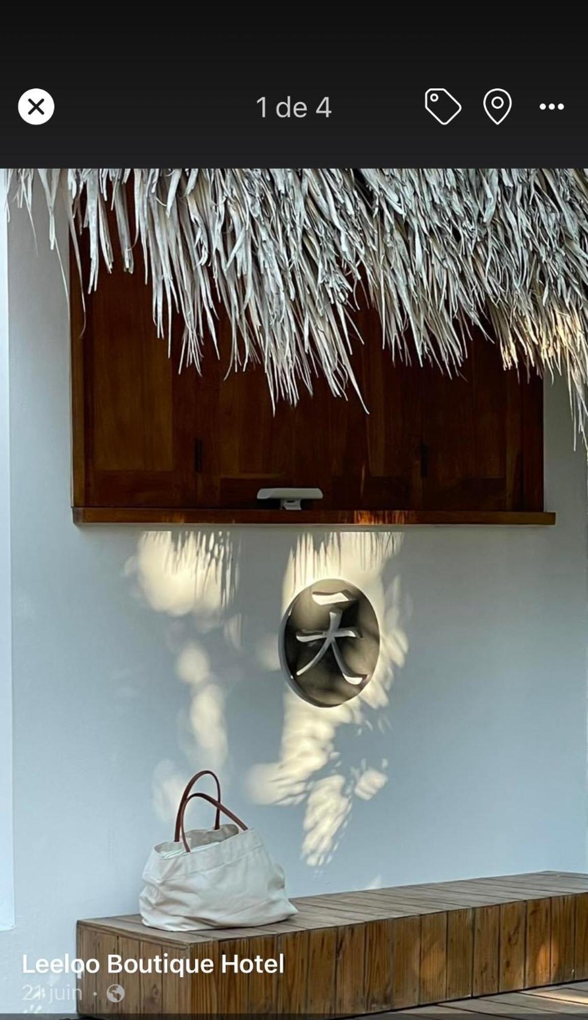 Leeloo Boutique Hotel Las Terrenas Luaran gambar